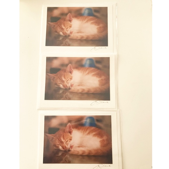 PHOTO GREETING CARDS - Picture 2 of 7